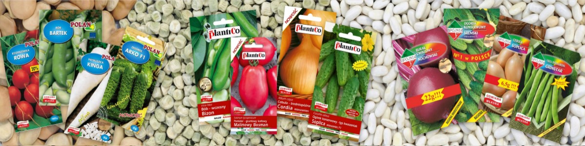 PLANTICO өсімдік тұқымдары көкөніс тұқымдары гүл тұқымдары