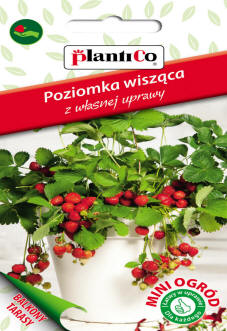 PLANTICO өсімдік тұқымдары көкөніс тұқымдары гүл тұқымдары