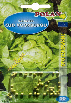 PLANTICO өсімдік тұқымдары көкөніс тұқымдары гүл тұқымдары